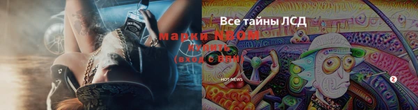 молекула духа Алексеевка