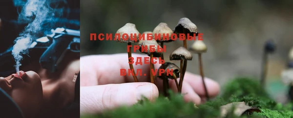 jwh Алзамай