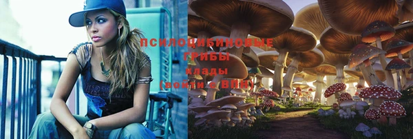 круглые Абаза