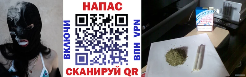 купить   Клинцы  Канабис конопля 